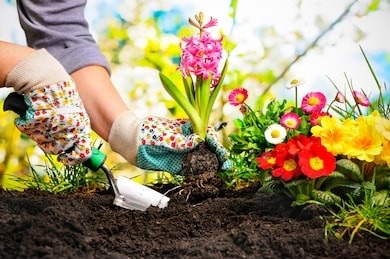 Preventing gardening injuries with proper techniques