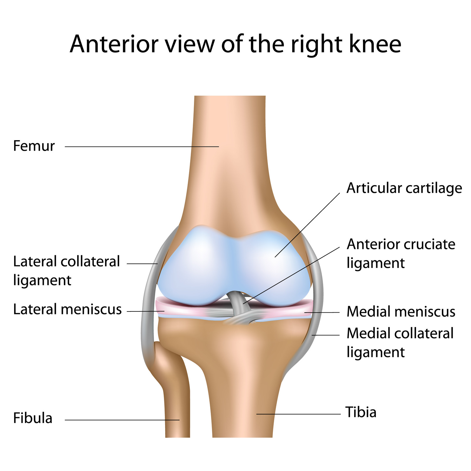 Non-surgical treatment options for knee osteoarthritis